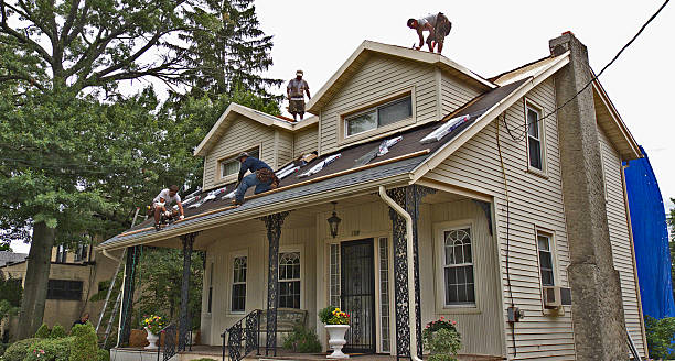 Best Emergency Roof Repair  in University Place, WA